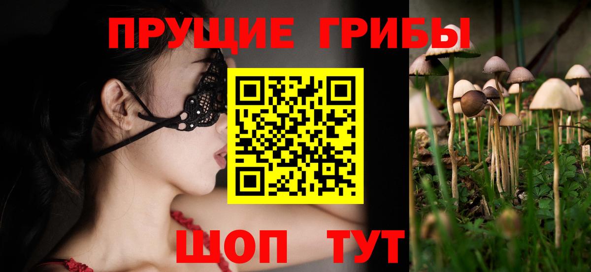 Псилоцибиновые грибы Cubensis Лосино-Петровский